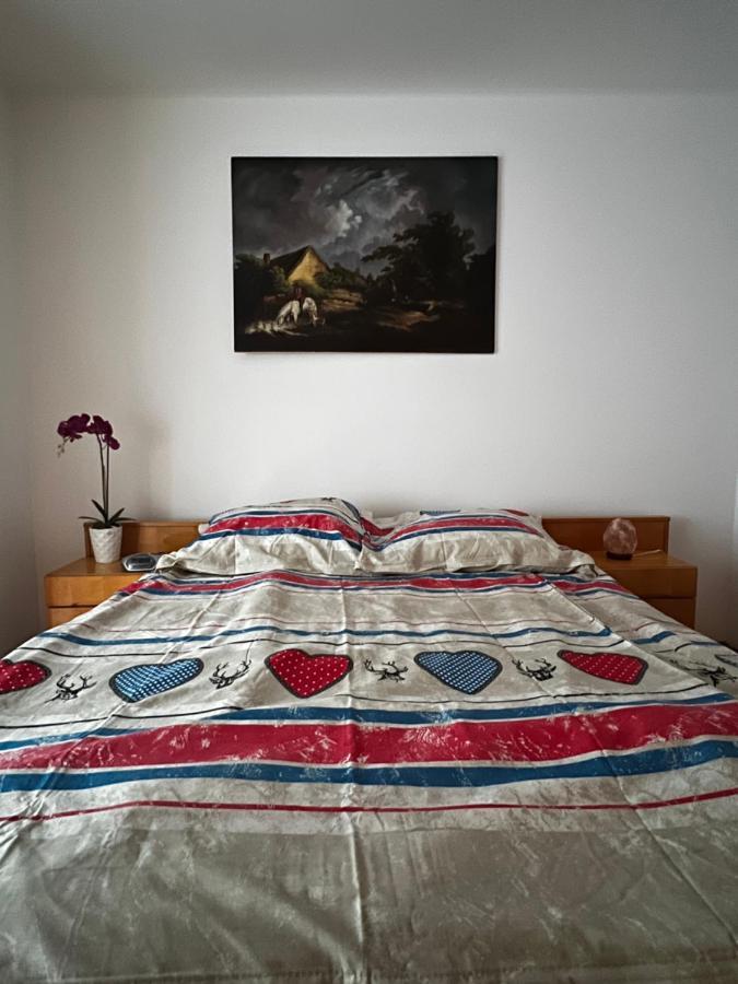 Noreea Central Apartment Temeşvar Dış mekan fotoğraf