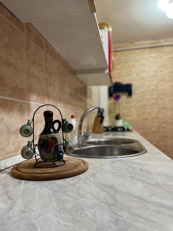 Noreea Central Apartment Temeşvar Dış mekan fotoğraf