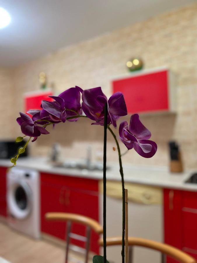 Noreea Central Apartment Temeşvar Dış mekan fotoğraf